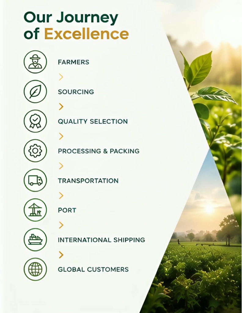 Our Journey of Excellence